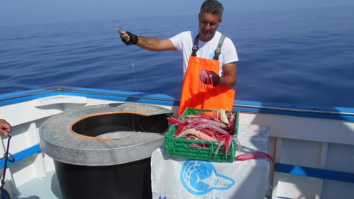 Sos squali, sempre più specie a rischio: così l’uomo prova a salvarli