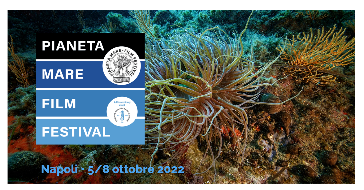 Il Pianeta Mare Film Festival è un’occasione per scoprire la Napoli che pochi conoscono